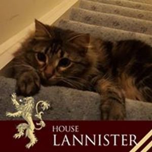 darth_thamiel avatar