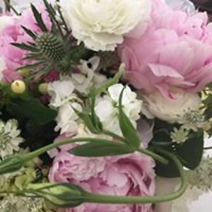 kristine_mt_shimizu avatar