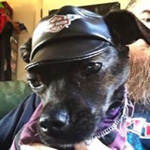 deadmanwalking2000uk avatar