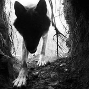 wendigo_lycan avatar