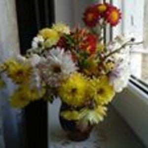 danmihalache23 avatar