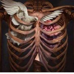 mariem_mohamed avatar