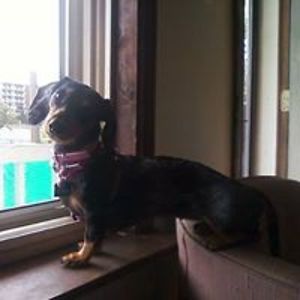 wayneajdoucette64 avatar