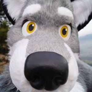 wulfer_gesichtsbuch avatar