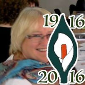 nollaigbairead avatar