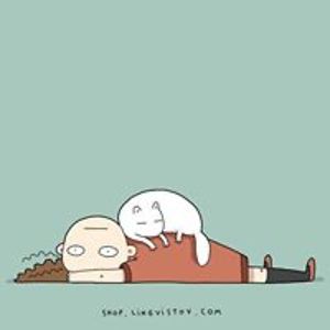 cicibanzeljka avatar