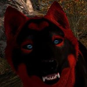 ashleyvanderham avatar