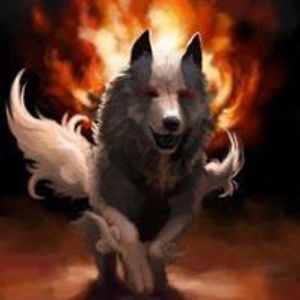 stormwolfspirit avatar