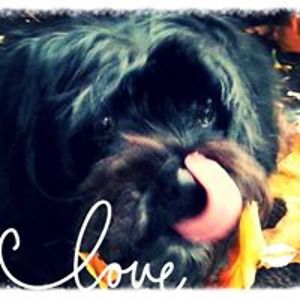 marilyn_telita avatar