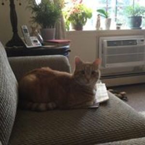 nanakimberley avatar