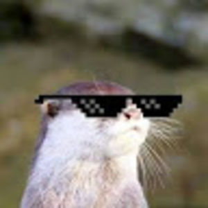 matheuspereira avatar