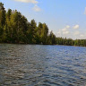 axelsilvander avatar