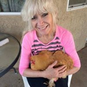 paulahesperia avatar