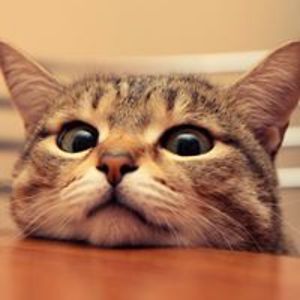 eden_rouela_ruta avatar