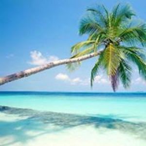 mireya_guzman avatar