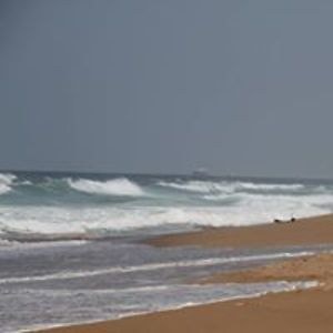 tygerkatt_5000 avatar