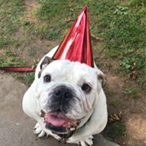 racks_disciprine avatar