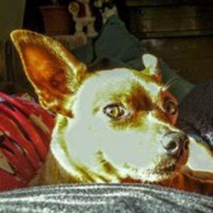 rpasternakseggelke avatar