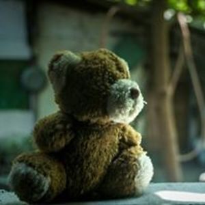 vindows_photos avatar