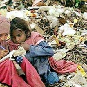 antoniopecurto avatar