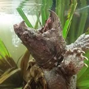 practicetrack avatar