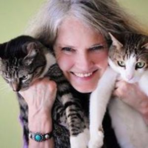 colormefree_life avatar