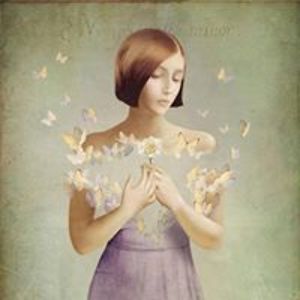 vasylpetrenko123 avatar