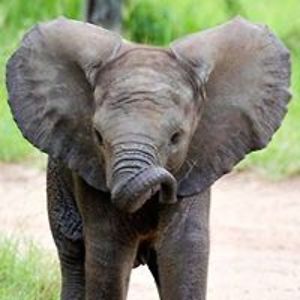 mihaela-shagadin avatar