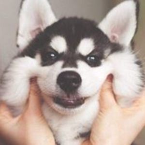 chloeee_q_u_n avatar