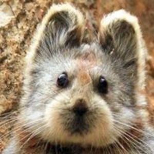 tamara_gedrose avatar