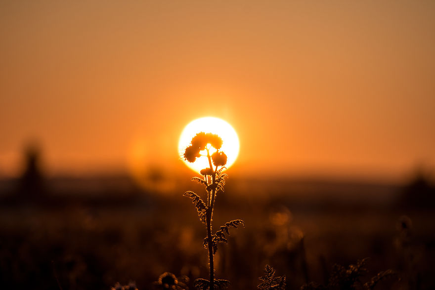 Beautiful Sunset Light And An Amazing Scenery Are Perfect Ingredients For Lovely Photographs