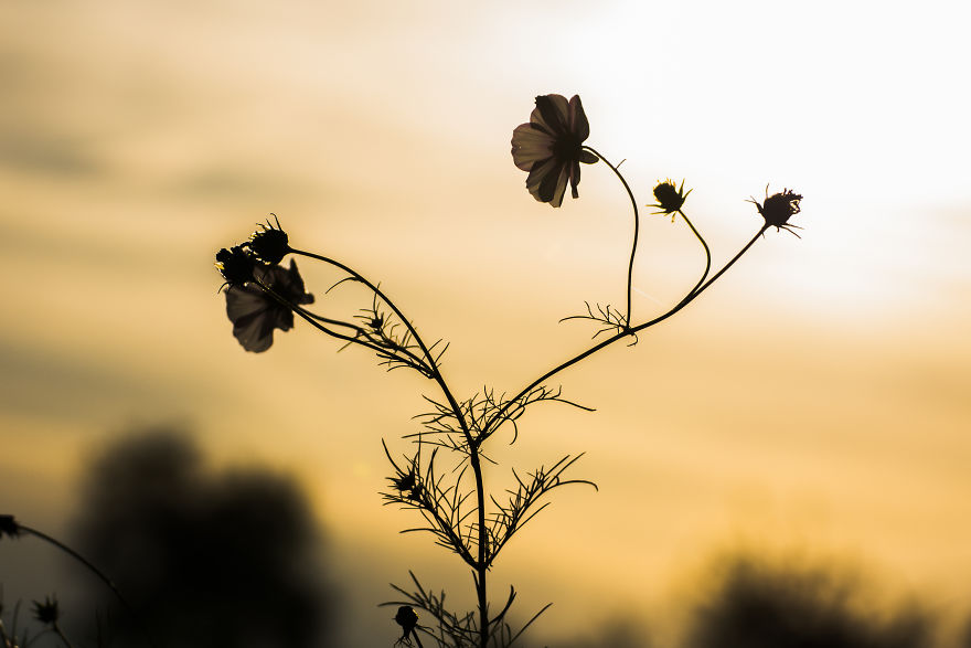 Beautiful Sunset Light And An Amazing Scenery Are Perfect Ingredients For Lovely Photographs