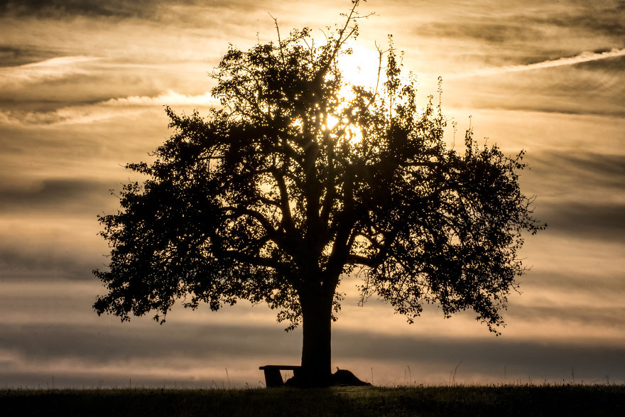 Beautiful Sunset Light And An Amazing Scenery Are Perfect Ingredients For Lovely Photographs Beautiful Sunset Light And An Amazing Scenery Are Perfect Ingredients For Lovely Photographs