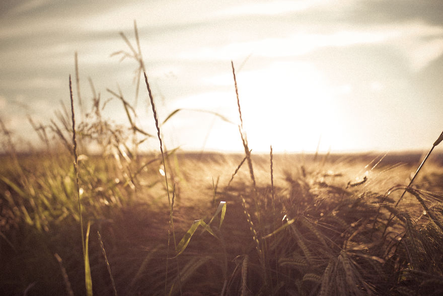 Beautiful Sunset Light And An Amazing Scenery Are Perfect Ingredients For Lovely Photographs