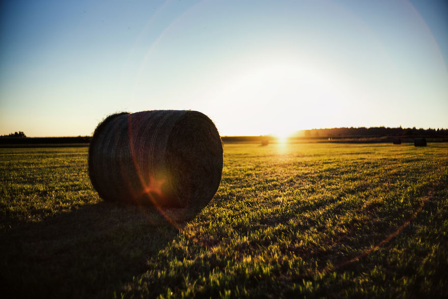 Beautiful Sunset Light And An Amazing Scenery Are Perfect Ingredients For Lovely Photographs