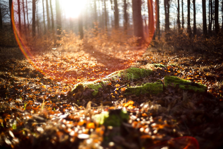 Beautiful Sunset Light And An Amazing Scenery Are Perfect Ingredients For Lovely Photographs Beautiful Sunset Light And An Amazing Scenery Are Perfect Ingredients For Lovely Photographs
