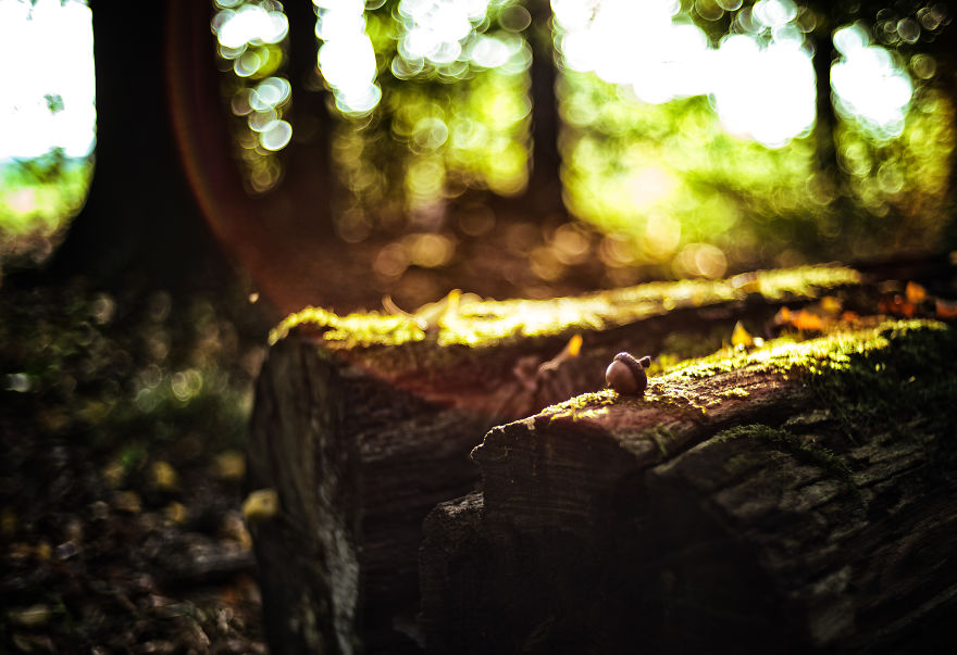 Beautiful Sunset Light And An Amazing Scenery Are Perfect Ingredients For Lovely Photographs Beautiful Sunset Light And An Amazing Scenery Are Perfect Ingredients For Lovely Photographs