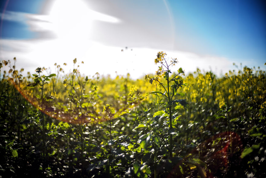 Beautiful Sunset Light And An Amazing Scenery Are Perfect Ingredients For Lovely Photographs Beautiful Sunset Light And An Amazing Scenery Are Perfect Ingredients For Lovely Photographs