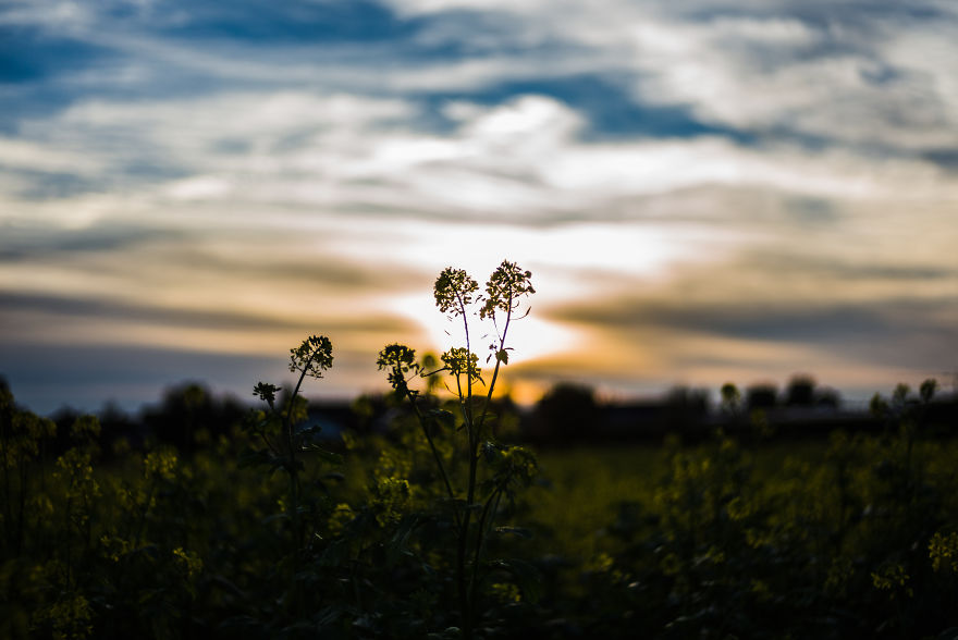 Beautiful Sunset Light And An Amazing Scenery Are Perfect Ingredients For Lovely Photographs Beautiful Sunset Light And An Amazing Scenery Are Perfect Ingredients For Lovely Photographs