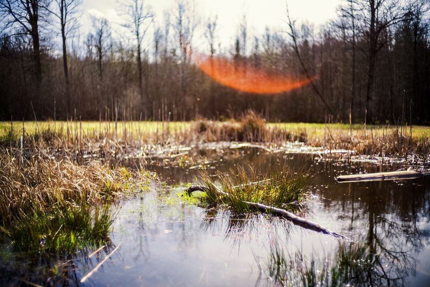 Beautiful Sunset Light And An Amazing Scenery Are Perfect Ingredients For Lovely Photographs Beautiful Sunset Light And An Amazing Scenery Are Perfect Ingredients For Lovely Photographs