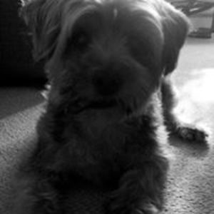 cathy_obrien85 avatar