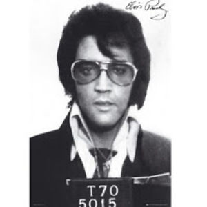 shainemacdonald_1 avatar