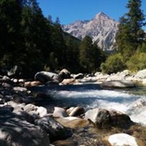 albertopazzagli avatar