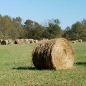 trina_howard47 avatar