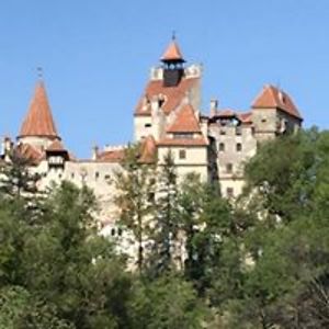 ulrich_andrea_j avatar