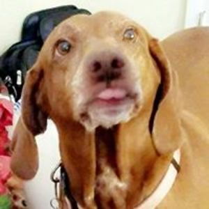 arthurcgreenfield avatar