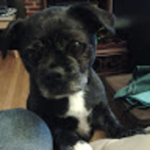 marlenecowart avatar