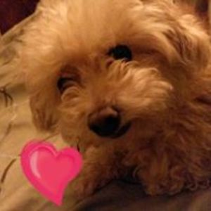 j_folsomcolorado avatar