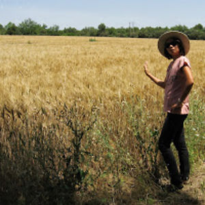 jittrahongchindawut avatar