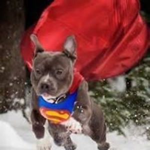 sanborncindy94 avatar